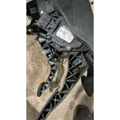 Opel İnsignia A 1.6 2.0 Elektronik Gaz Pedalı GM 13237352 DG